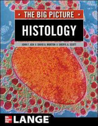 Big Picture: Histology