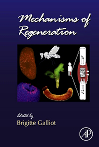 Current Topics in Developmental Biology, Vol.108- Mechanisms of Regeneration