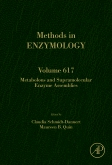 Methods in Enzymology, Vol.617- Metabolons & Supramolecular Enzyme Assemblies