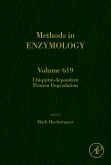 Methods in Enzymology, Vol.619- Ubiquitin-Dependent Protein Degradation