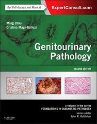 Genitourinary Pathology, 2nd ed.(Foundations in Diagnostic Pathology Series)