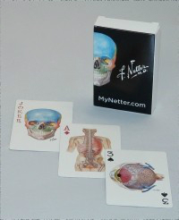 Netter Playing Cards- Netter's Anatomy Art Card Deck (Single Pack)