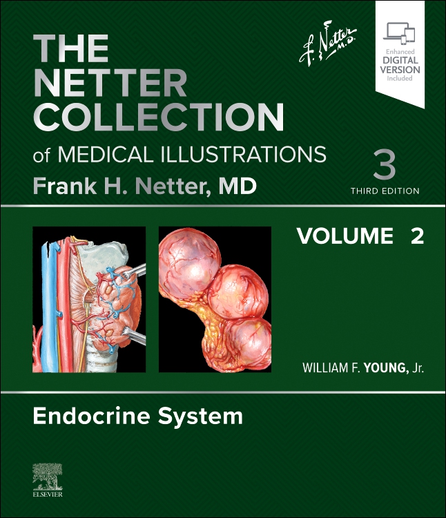 Netter Collection of Medical Illustrations,Vol.2: Endocrine System, 3rd ed.