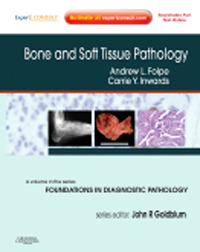 Bone & Soft Tissue Pathology with Expert Consult Online- Volume in the Foundations in Diagnostic PathologySeries