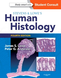 Stevens & Lowe's Human Histology, 4th ed.