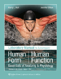 Laboratory Manual to Accompany Human Form HumanFunction, Spiralbound- Essentials of Anatomy & Physiology