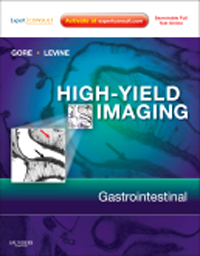 High-Yield Imaging: Gastrointestinal(High-Yield in Radiology Series)