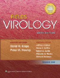 Fields Virology, 6th ed., in 2 vols.
