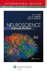 Neuroscience, 4th ed.(Int'l ed.)- Exploring the Brain
