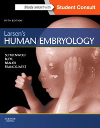 Larsen's Human Embryology, 5th ed.