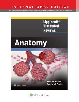 Lippincott's Illustrated Reviews: Anatomy (Int'l ed.)