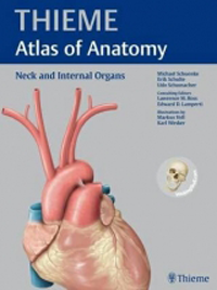 Neck & Internal Organs, Paperback(Thieme Atlas of Anatomy)