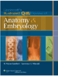 Lippincott's Illustrated Q&A Review of Anatomy &Embryology