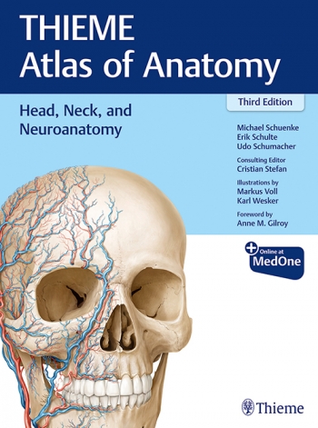 Head, Neck, & Neuroanatomy, 3rd ed.(Thieme Atlas of Anatomy)