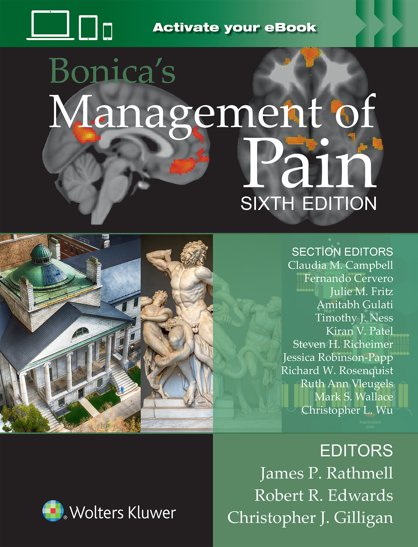Bonica's Management of Pain, 6th ed.