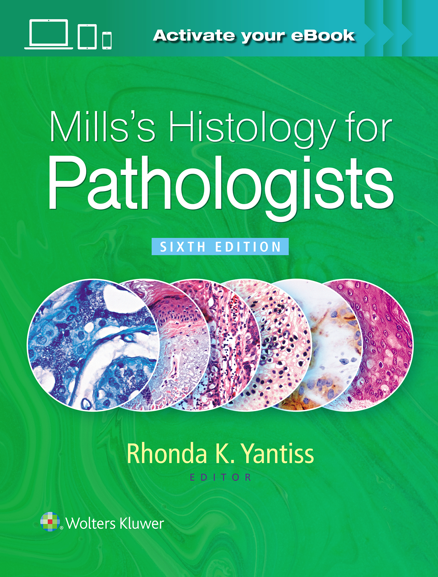 Mills's Histology for Pathologists, 6th ed.