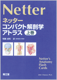 ネッターコンパクト解剖学アトラス