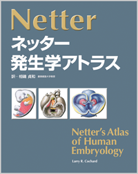 ネッター発生学アトラス