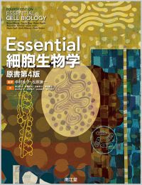 Essential細胞生物学（原書第4版）: 教科書／南江堂