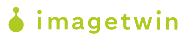 Imagetwin -Yearly Plans