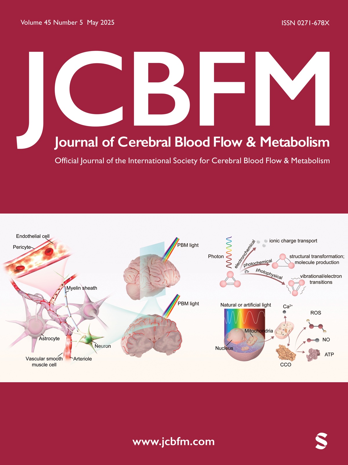 Journal of Cerebral Blood Flow & Metabolism