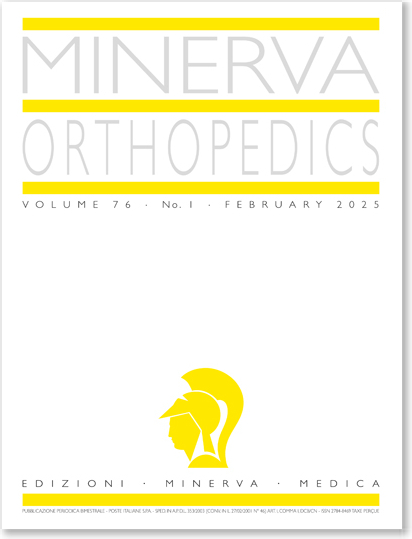 Minerva Orthopedics