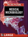 Medical Microbiology- Big Picture