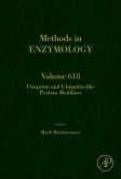 Methods in Enzymology, Vol.618- Ubiquitin & Ubiquitin-Like Protein Modifiers