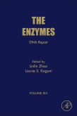 Enzymes, Vol.45- DNA Repair