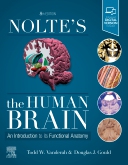 Nolte's the Human Brain, 8th ed.- An Introduction to Its Functional Anatomy