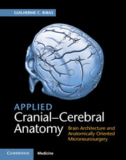 Applied Cranial-Cerebral Anatomy- Brain Architecture & Anatomically Oriented