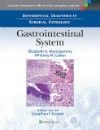 Differential Diagnoses in Surgical Pathology:Gastrointestinal System