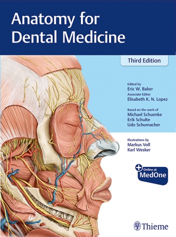 Anatomy for Dental Medicine, 3rd ed.