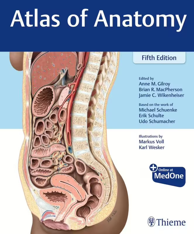 Atlas of Anatomy, 5th ed.