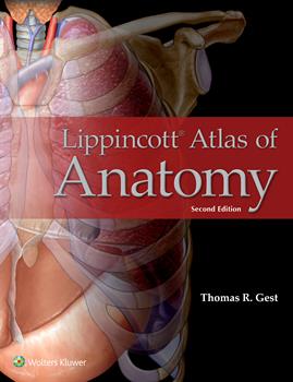 Lippincott Atlas of Anatomy, 2nd ed. Int'l ed.