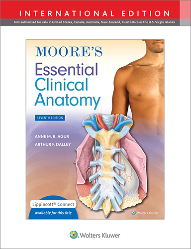 Moore's Essential Clinical Anatomy, 7th ed.(Int'l ed.)