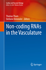 Non-Coding Rnas in the Vasculature, Hardcover