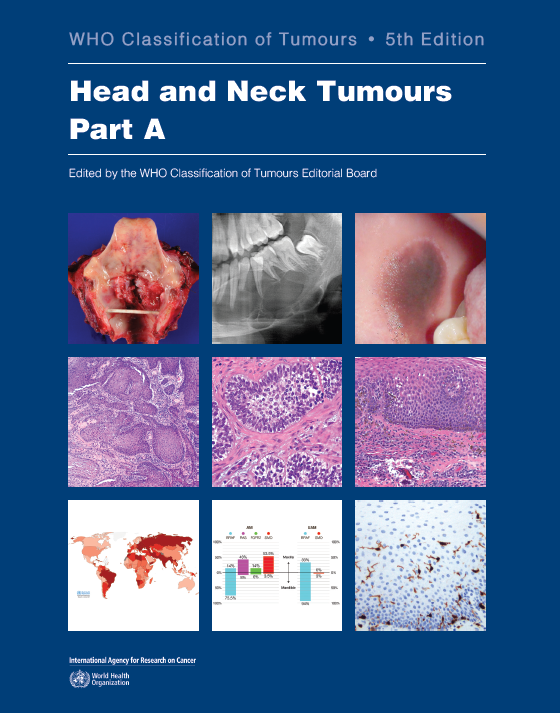 WHO Classification of Tumours, 5th ed., Vol.9In 2 vols.