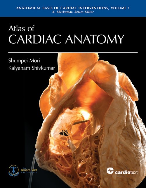 Atlas of Cardiac Anatomy + 3d Heart Model