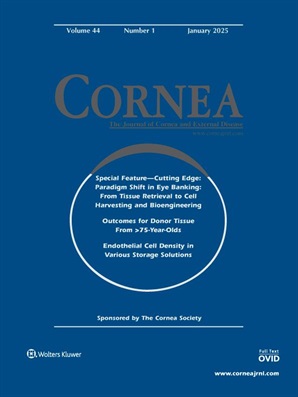 Cornea