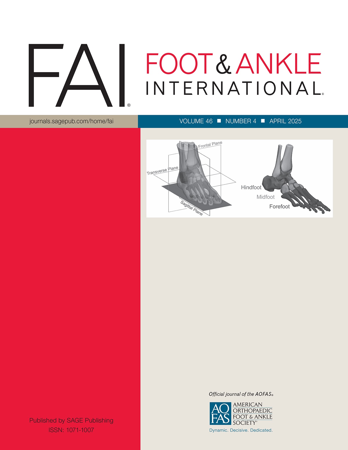 Foot & Ankle International