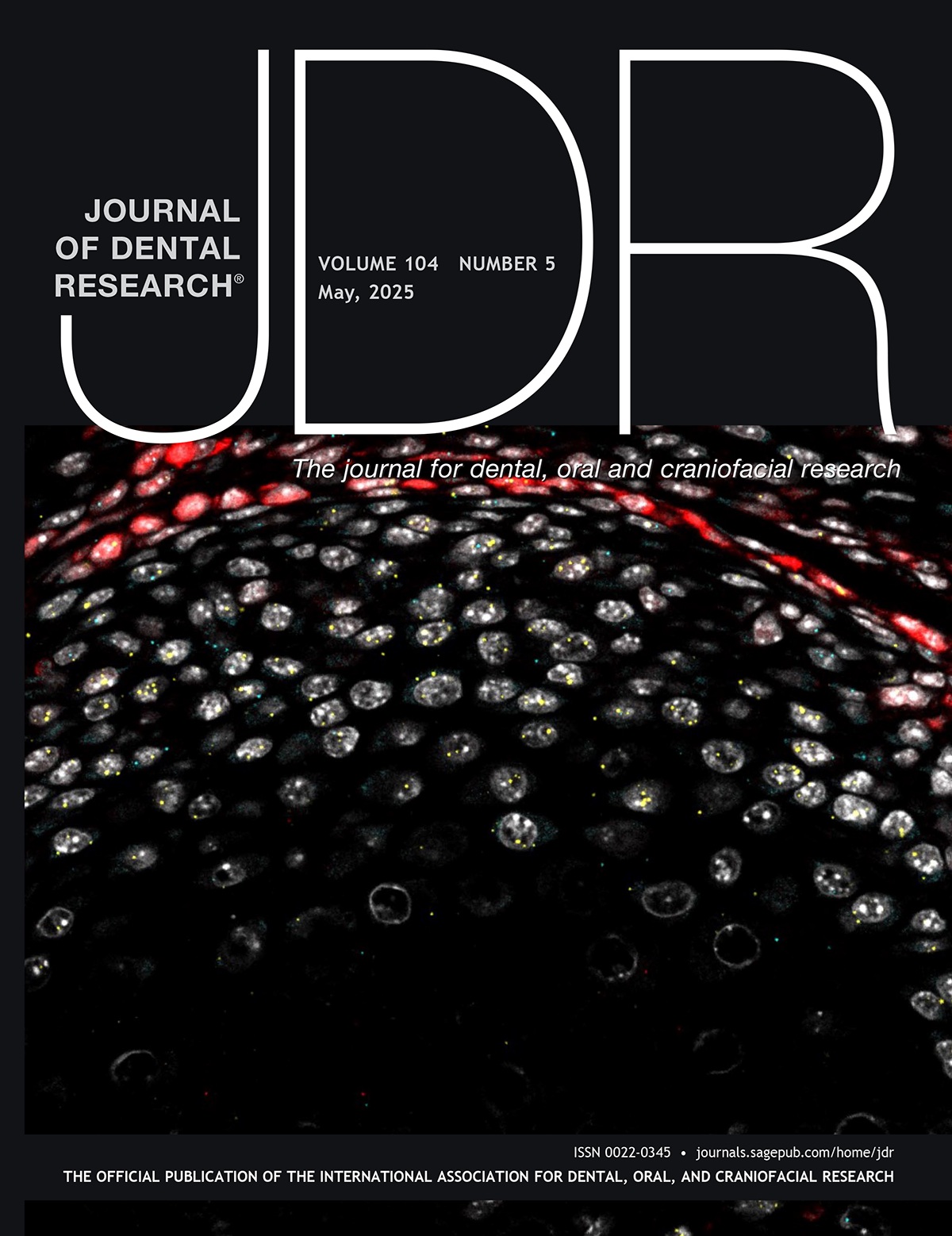 Journal of Dental Research and Jdr Clinical &Translational Research