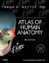 Atlas of Human Anatomy, 6th ed., Professional ed.