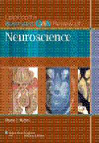 Lippincott's Illustrated Q&A Review of Neuroscience