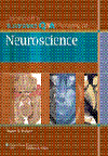 Lippincott's Illustrated Q&A Review of Neuroscience